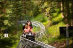 Snowmass Lost Forest - Ziplines, Alpine Coaster, Tree Challenge, Bike Park  More